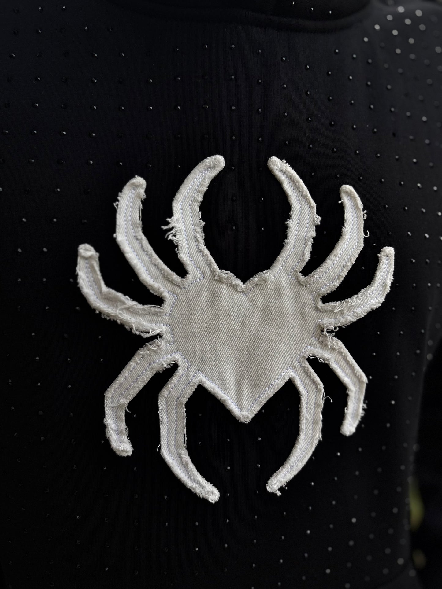 Spider Hoodie